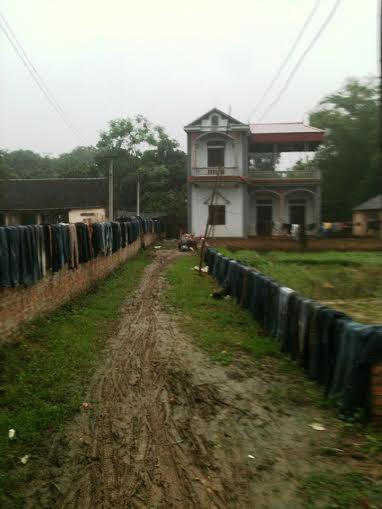 Rùng mình ở nơi bới quần áo và xác động vật đem bán